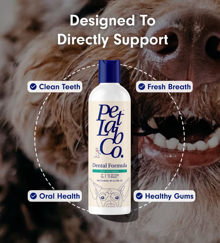 Dog Dental Formula – Daily Teeth Cleaner & Rinse