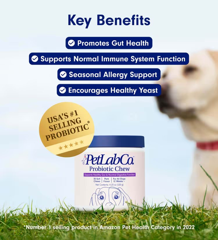 Probiotics for Dogs – Soft Chews for Gut & Digestive Health