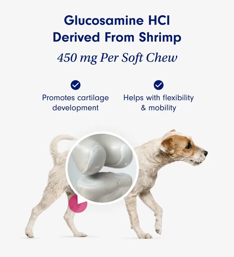 Hip & Joint Care Chews – Dog Joint Supplement for Mobility