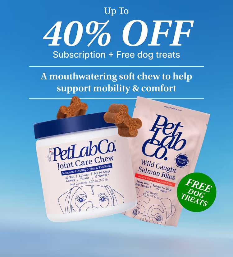 Hip & Joint Care Chews – Dog Joint Supplement for Mobility